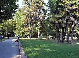 Censimento, alberi in città. Contati,  sono ottomila