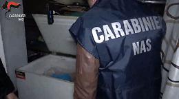 Macellazione clandestina a Salerno, sequestrati 6 quintali di carni