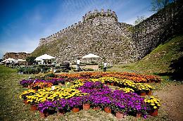 XIII edizione di Fiori nella Rocca