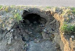 Le nutrie divorano la strada: stop alla circolazione 