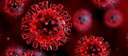 Variante Delta: "Nessuno dei casi accertati ha completato il ciclo vaccinale"