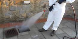 Vaiano invaso  dagli scarafaggi