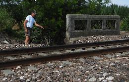 Nutrie sulle massicciate, RFI: "Monitoraggio e reti metalliche per la prevenzione"