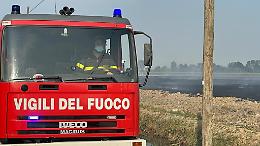 Il piromane dell'Oglio Po di nuovo in azione