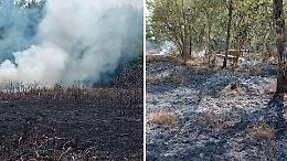 Rogo doloso nel Parco Oglio Nord: in fumo 4 ettari  di bosco