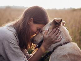 Giornata mondiale del cane, 10 idee per farli felici e ringraziarli