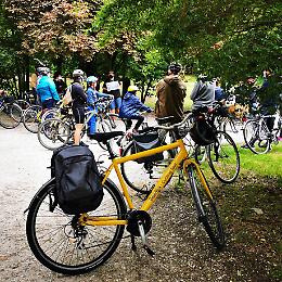 Musica in città - Tour in bicicletta
