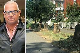 Taglio degli alberi in citt&agrave;, presentato l'esposto alla Forestale