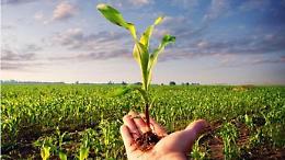Con il Psr 400 milioni di euro per le imprese agricole 