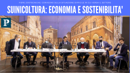 Suinicoltura: eccellenza delle materie prime, ma la situazione è difficile