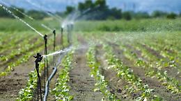 Agricoltura, Rolfi: 10 milioni di euro per nuovi impianti di irrigazione