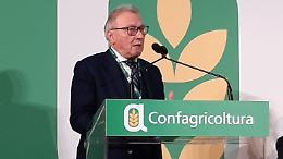 Confagricoltura: "Costi di produzione alle stelle, tenuta delle imprese a rischio"