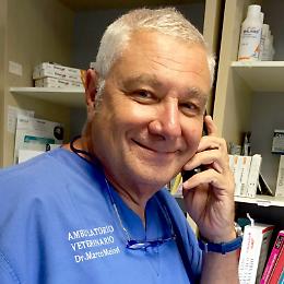 Incontro "Comunicare quando manca la parola"