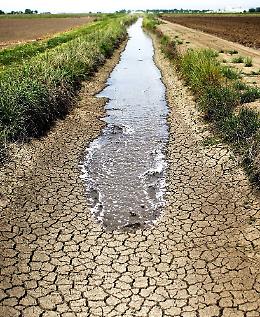 Siccità, peggiora lo stato di crisi. Stagione irrigua a rischio