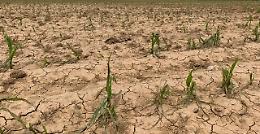 Siccità, la grande emergenza: «Bisogna far presto, acqua dai laghi»