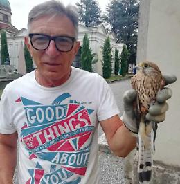 Gheppio salvato dagli agenti: &laquo;Ha un&rsquo;ala spezzata&raquo;