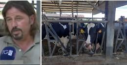 Zootecnia, Zaghen: &laquo;Pi&ugrave; costi e meno prodotto. Manca una politica agricola&raquo;