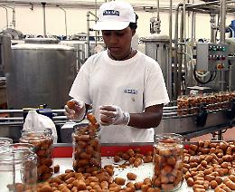 La popolazione &egrave; in calo: gli stranieri in aumento