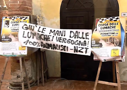 Blitz degli animalisti: contestata la corsa delle lumache. Il presidente Pedrazzini: «Parlare di maltrattamento è assurdo»