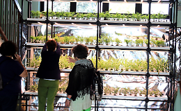 Scuola sempre pi&ugrave; ecologica grazie alla serra idroponica