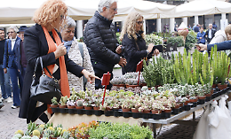 «Crema Fiori e Sapori», un successo: arrivederci a primavera