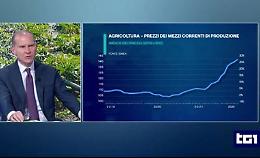 Rincari: Italia a rischio recessione. Intervento di Massimiliano Giansanti al TG1