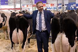 Fiere Zootecniche Internazionali, il settore agro-zootecnico si ritrova a Cremona