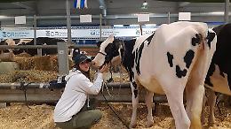 Fiere Zootecniche Internazionali, le immagini della seconda giornata