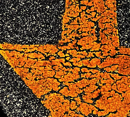 Mostra  “I Am The Bush Doctor, One Halo”  del giamaicano  Arthur Simms