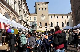Festa dell'Albero: «Piazza Duomo fiorisce»