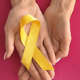 Giornata nazionale dell'endometriosi