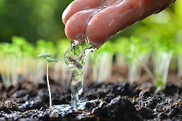 Giornata mondiale dell’acqua, risolvere la crisi idrica e igienico-sanitaria