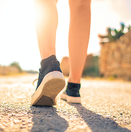 Camminata di Primavera Avis Insieme