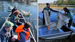 Microplastiche del Po, conclusi i campionamenti del Manta River Project 2