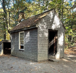 "Walden. Una proposta anarchica di libertà"  con Laura Garbelli