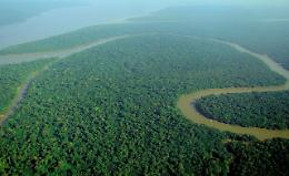 Trovato un altro cadavere nella riserva Yanomami in Amazzonia, non si fermano le violenze