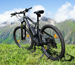 Ritorna a Crema BICINCITT&Agrave;