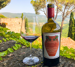 Vino in Corte 2023