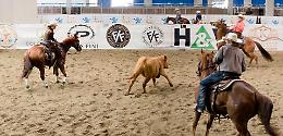 Cavallo americano: il Far West dà  spettacolo 