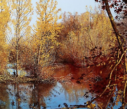 Mostra "L'incanto della natura"