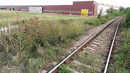 Ferrovie, da Marcegaglia: &laquo;Realizzare il raccordo&raquo;