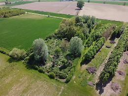 Biodiversità, nasce il 'Campo delle Api' nell'ex discarica