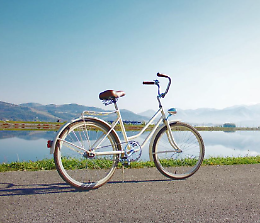 Ritorna a Crema BICINCITT&Agrave;