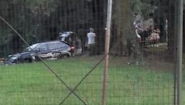 Il caso. In auto nel parco Bonaldi per un picnic o una festa, ma è vietato
