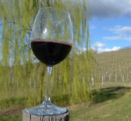 Trekking del vino a Catell'Arquato
