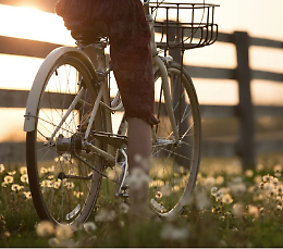 Biciclettata Avis con visita all'Apicoltura Rivaroli