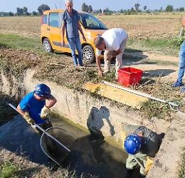 Carpe e alborelle recuperate e salvate dalle guardie della Fipsas
