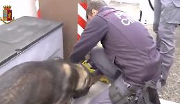 Operazione anti-droga: smantellata rete di spaccio interprovinciale