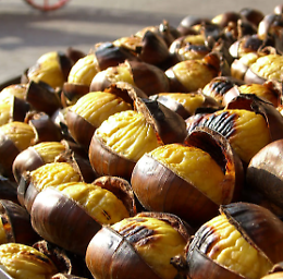 Autunno in piazza: castagnata e mercatini della Pro Loco 