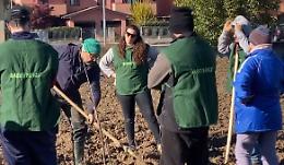 Con Agropolis nasce il 'Bosco delle api'